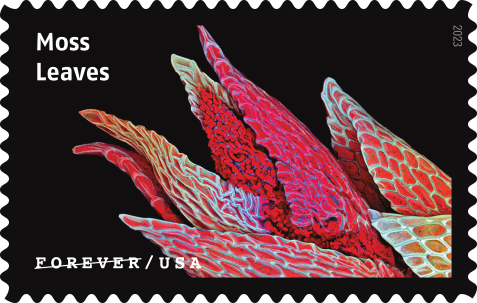 2023 Life Magnified Stamps - Forever Stamps