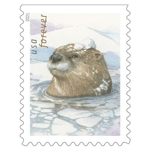 2021 Otter in the Snow Forever®Stamp - Forever Stamps