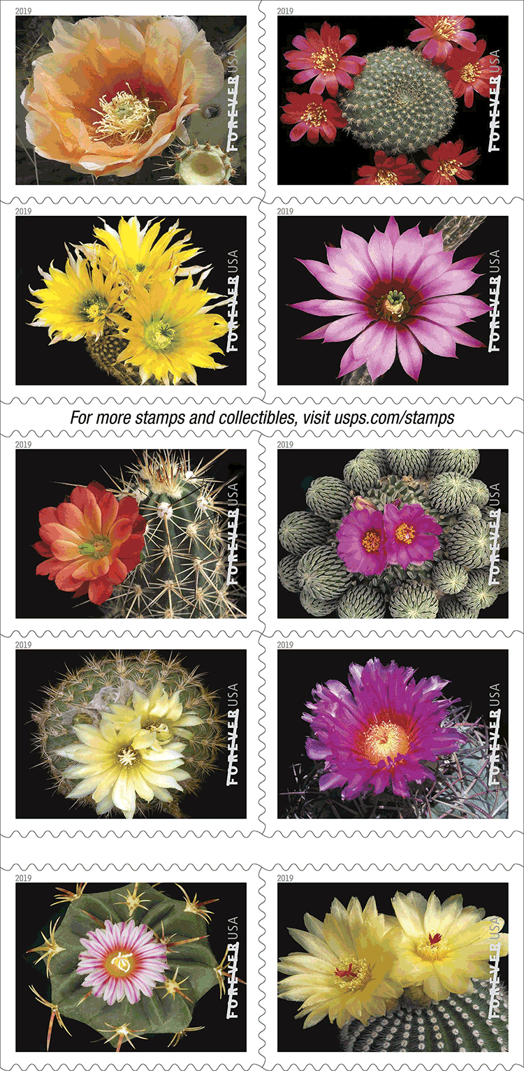 2019 Cactus Flowers Forever®Stamp - Forever Stamps