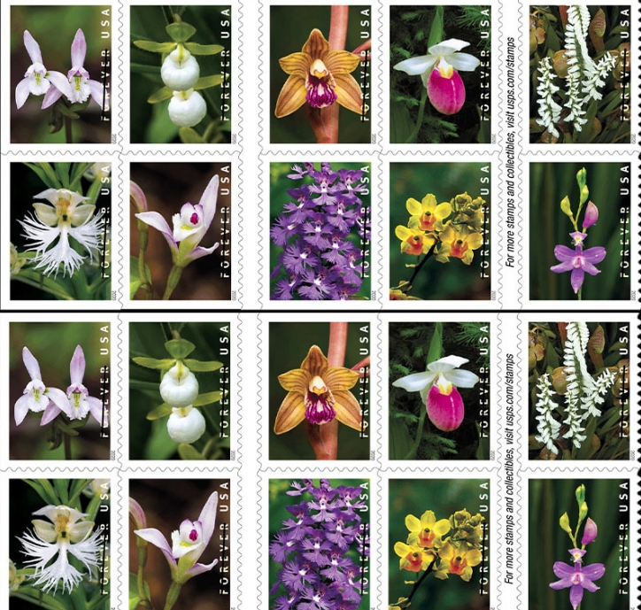 2020 Wild Orchids Forever®Stamp - Forever Stamps