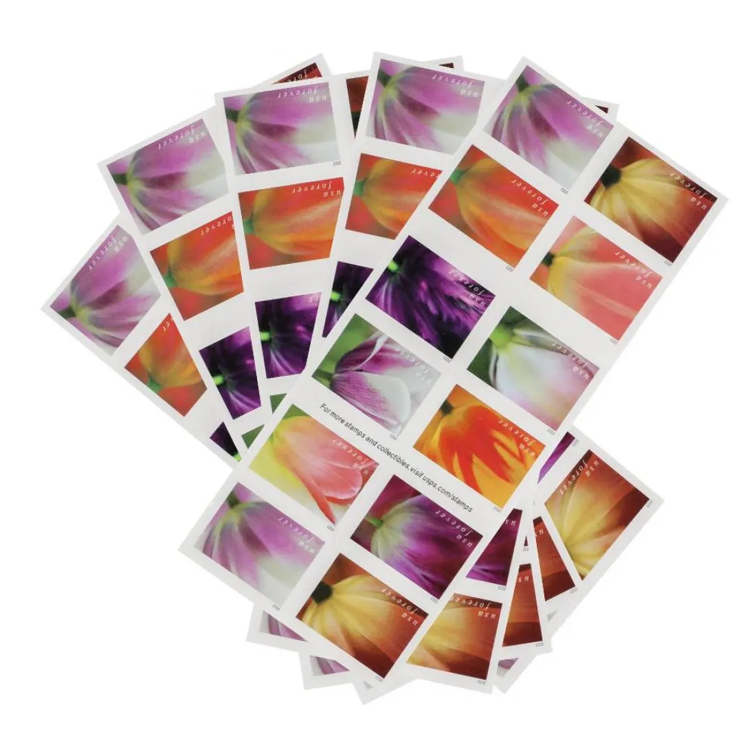 2023 Tulip Blossoms - Forever Stamps