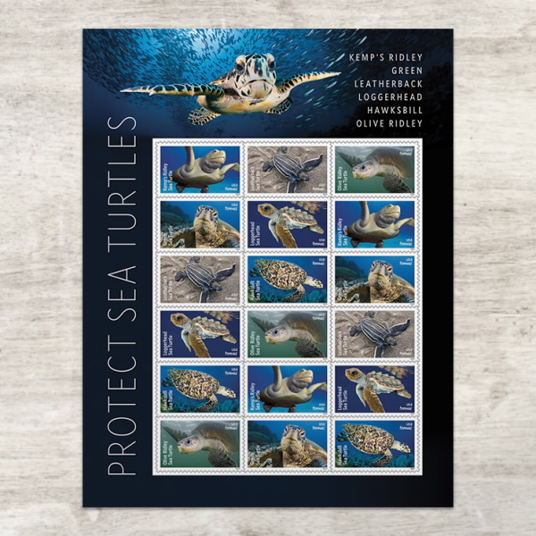 2024 Protect Sea Turtles Stamps - Forever Stamps
