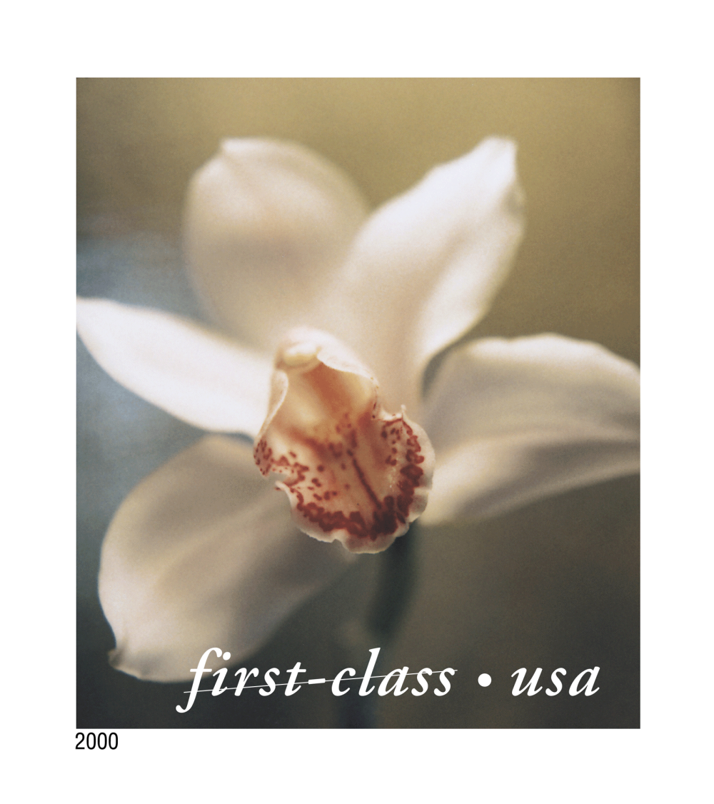 2000 Flowers Stamps - Forever Stamps