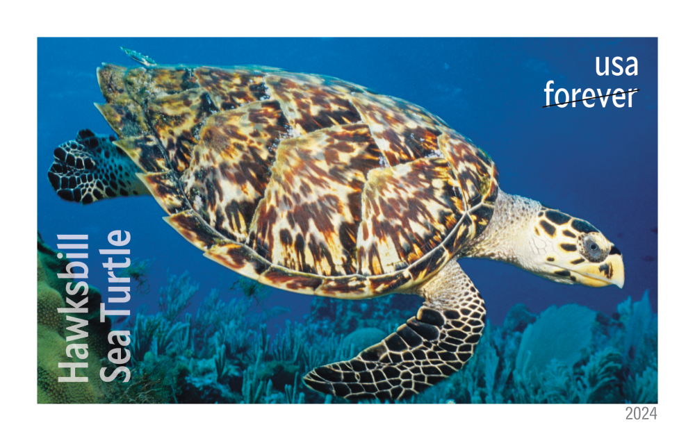2024 Protect Sea Turtles Stamps - Forever Stamps